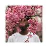 Cherry Blossoms - L'mar Zandere