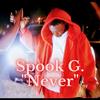 You Never (Explicit) - Spook G.