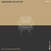 Than (Guy From Downstairs Remix) - Unknown Collective&Guy From Downstairs