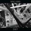 Unsure - Mallard