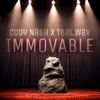 Immovable (Explicit) - Cody Nash&Teal.Wav