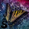 Butterfly Kisses (feat. Sam Joe) (Explicit) - luc&Sam Joe