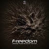 Freedom (Original Mix) - Atomic Pulse&Sonic Sense