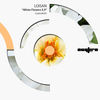 White Flowers - Loisan