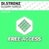 Gloomy Forest (Original Mix) - Di.Stronz