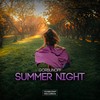 Summer Night - Gorbunoff