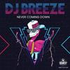 Never Coming Down - DJ Breeze