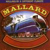 Road To Morocco - Mallard