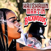 Backwoods (Explicit) - Hai Shawn Martin
