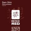 Sterrenbeeld (Original Mix) - Sam Slim