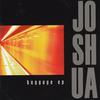 Perfect Man - Joshua