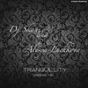 Tranquillity - Dj Skan&Alesya Luchkova