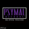 Welcome (Original Mix) - Mr Spook