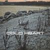 Polar Wind (Original Mix) - cold00n