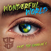 Wonderful World - BcJoe&The Havran's