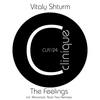 The Feelings - Vitaly Shturm