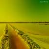 Walkabout - Roesselsprung