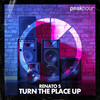 Turn The Place Up (Radio Edit) - Renato S