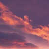 Vestidet d'estiu - Chill C
