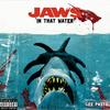 New Or Old(feat. Jit) (Explicit) - Gee Pasto&Jit