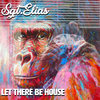 Let There Be House - Sgt.Elias