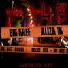 The Second 48 (Explicit) - Big Kree&ALIZA1K