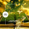 Story Teller (Original Mix) - Trippin Fox