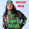 Tu Maldita Madre (Explicit) - Shelow Shaq