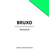 Unstable Reaction - Bruxo