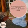 Meditation On The Hills (Original Mix) - Daniel Markston