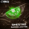 Fear Brain (Original Mix) - Sinestro