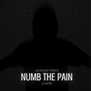 Numb the Pain (Explicit) - Jackson Pierce