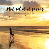 Not What It Seems - SR&Unanimo