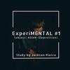 Experimental #1: Adam[Depression] - Jackson Pierce