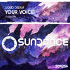 Your Voice (Original Mix) - Liquid Dream