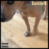Nevermind, You're Just Stupid - BASSET