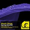 Spring Dewfall (Rysh Paprota Remix) - Shock Osugi