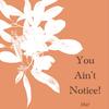 You Ain't Notice! (Explicit) - Mir!