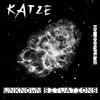 unknown situations - Katze