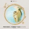 Modern (Original Mix) - Profundo&Forrest Tales