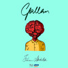 Gallan - Faheem Abdullah