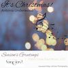 It's Christmas! - Tony Underwood