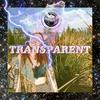 Transparent - Spooky the LightGod