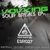 Forever Loved (Original Mix) - Vovking