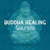 Labyrinth - Buddha Sounds