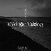 Cô Độc Vương (DJ何友 remix) (Remix) - DJ何友