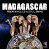 Madagascar (Original Mix) - Freakaholics&Soul Shine