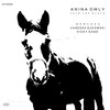 Cinnamon Drum (Vanessa Sukowski Remix) - Anina Owly&Vanessa Sukowski