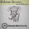 Past Whispers (Original Mix) - Adrian Groove