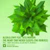 The Heart That Never Sleeps (Amir Hussain Remix) - Allen & Envy&Jess Morgan